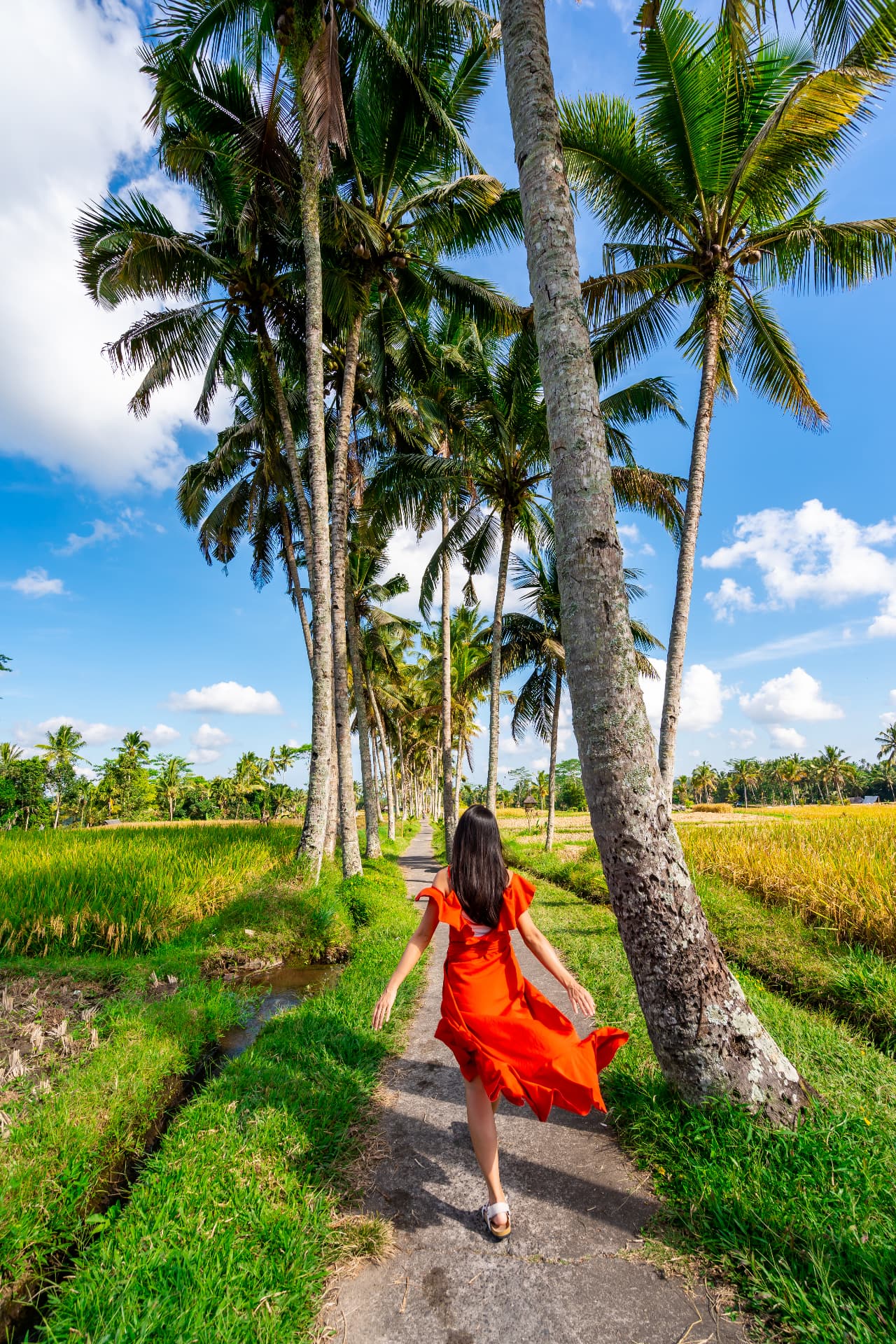 Woman in a red dress walking a palm-lined rice field path